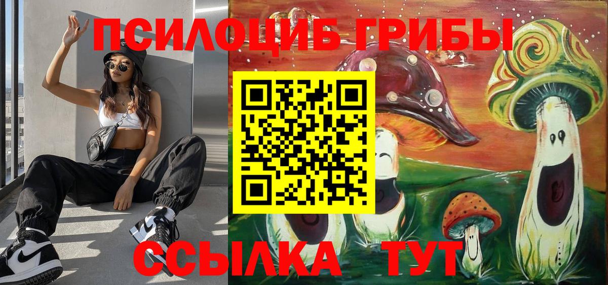Псилоцибиновые грибы мицелий Каменск-Уральский