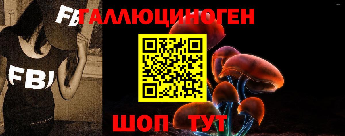 Псилоцибиновые грибы GOLDEN TEACHER  Вход с VPN  Каменск-Уральский 